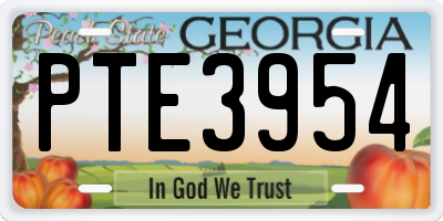 GA license plate PTE3954