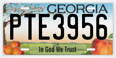 GA license plate PTE3956