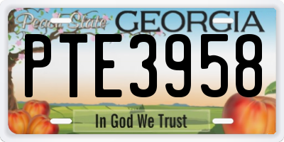 GA license plate PTE3958
