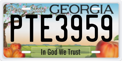 GA license plate PTE3959