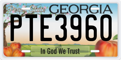 GA license plate PTE3960