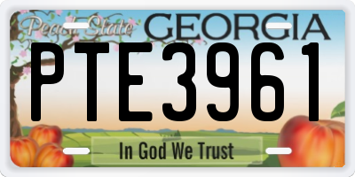 GA license plate PTE3961