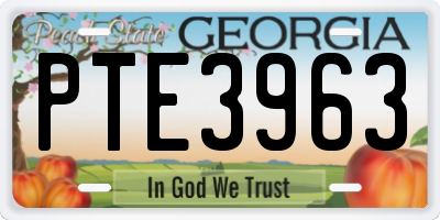 GA license plate PTE3963