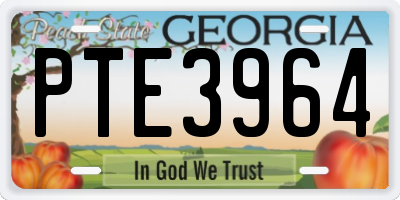 GA license plate PTE3964