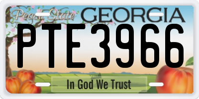 GA license plate PTE3966