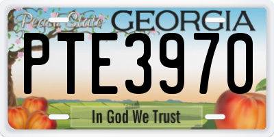 GA license plate PTE3970