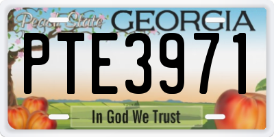 GA license plate PTE3971