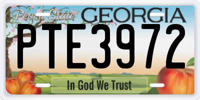 GA license plate PTE3972