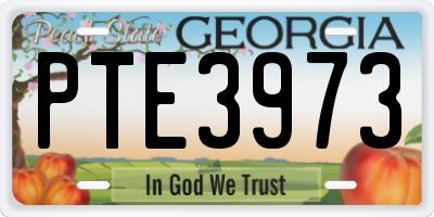 GA license plate PTE3973