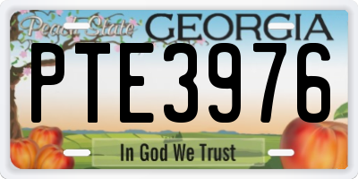 GA license plate PTE3976