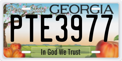GA license plate PTE3977