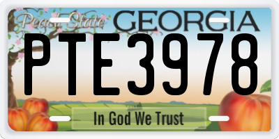 GA license plate PTE3978
