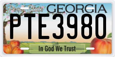 GA license plate PTE3980