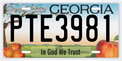 GA license plate PTE3981