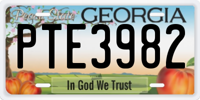 GA license plate PTE3982
