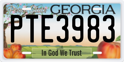 GA license plate PTE3983