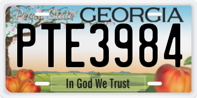 GA license plate PTE3984