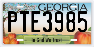 GA license plate PTE3985