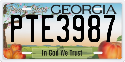 GA license plate PTE3987