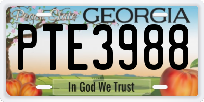 GA license plate PTE3988