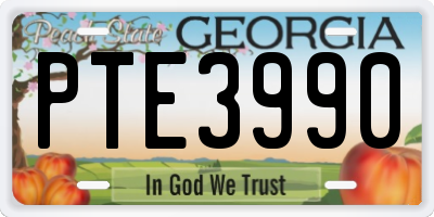 GA license plate PTE3990