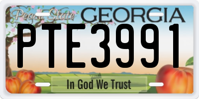 GA license plate PTE3991