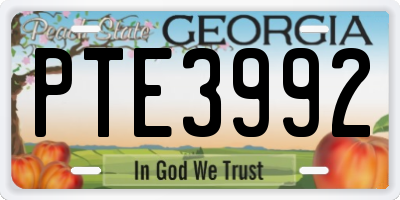 GA license plate PTE3992