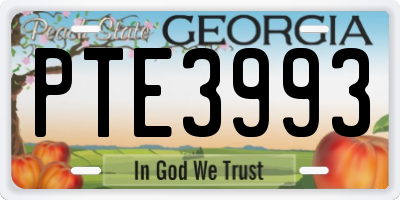 GA license plate PTE3993