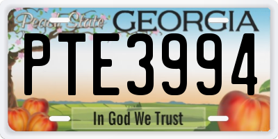 GA license plate PTE3994