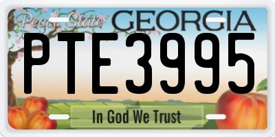 GA license plate PTE3995