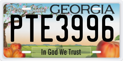 GA license plate PTE3996