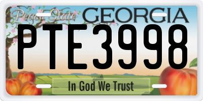 GA license plate PTE3998