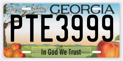 GA license plate PTE3999