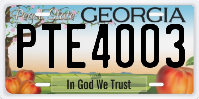 GA license plate PTE4003