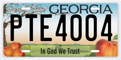 GA license plate PTE4004
