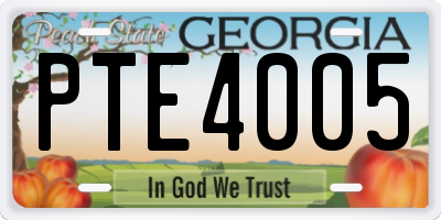 GA license plate PTE4005