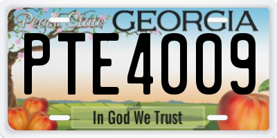 GA license plate PTE4009
