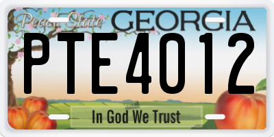 GA license plate PTE4012
