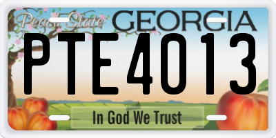 GA license plate PTE4013