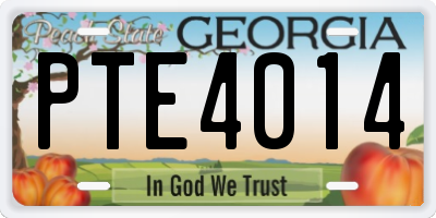 GA license plate PTE4014