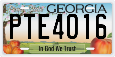 GA license plate PTE4016