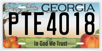 GA license plate PTE4018