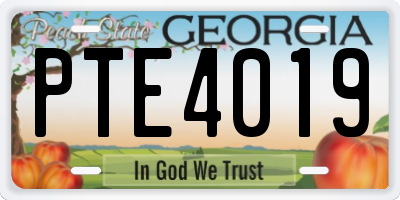 GA license plate PTE4019