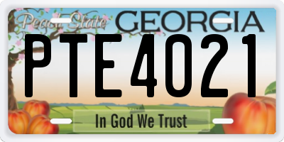 GA license plate PTE4021