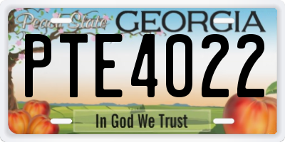 GA license plate PTE4022