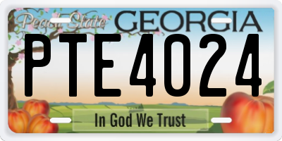 GA license plate PTE4024