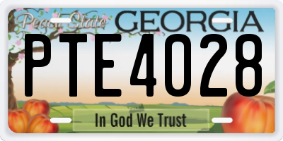 GA license plate PTE4028