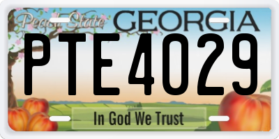 GA license plate PTE4029