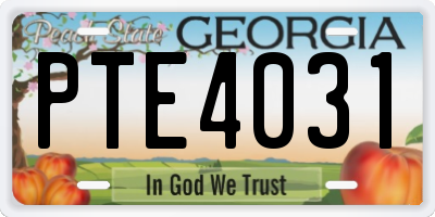 GA license plate PTE4031