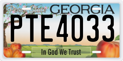 GA license plate PTE4033